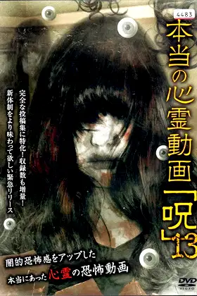 Hontō no Shinrei Dōga 'Noroi' 13 poster