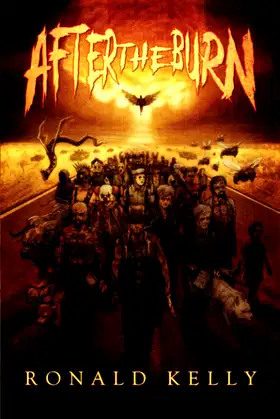 After the Burn poster