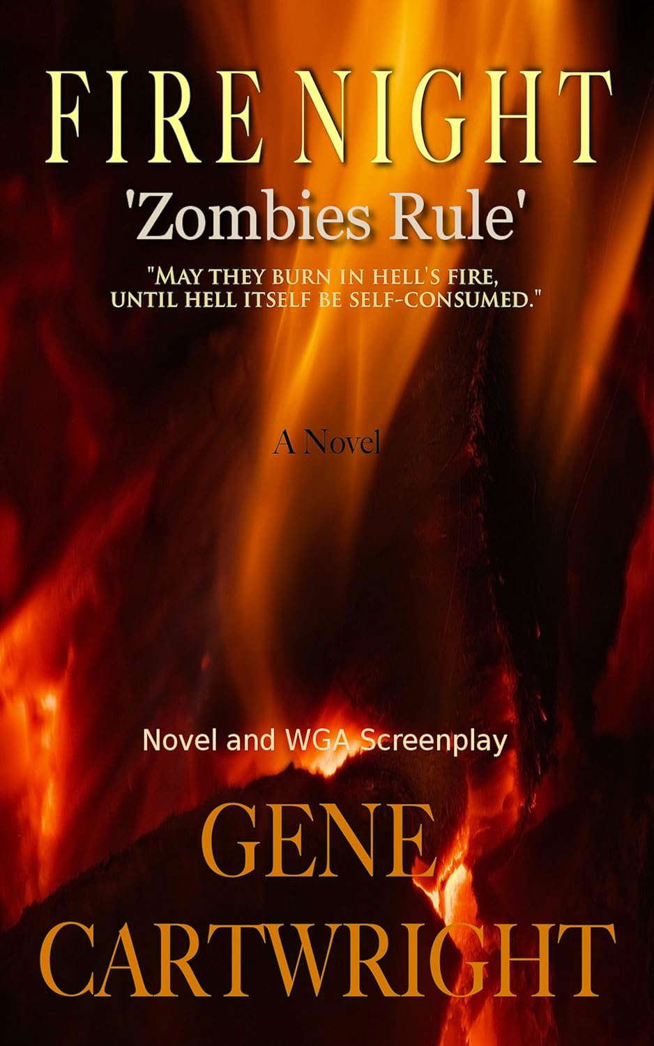 Fire Night: Zombies Rule poster
