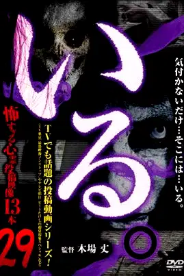「Iru.」~ Kowasugiru Tōkō Eizō 13-hon ~ Vol.29 poster