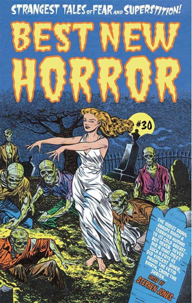 Best New Horror #30 [Trade Paperback] poster