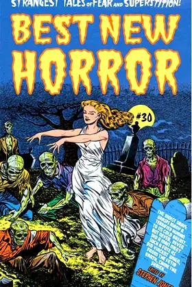 Best New Horror #30 [Trade Paperback] poster