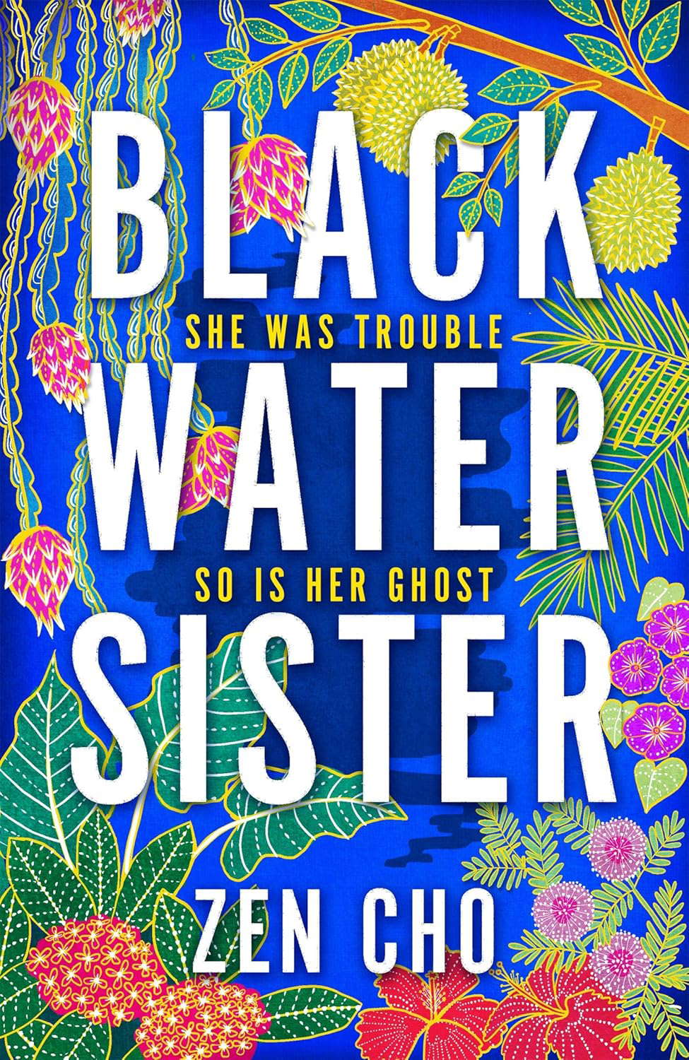 Black Water Sister poster