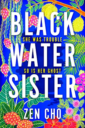 Black Water Sister poster