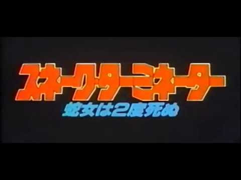 Poster for Lady Terminator