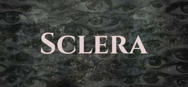 Sclera capsule