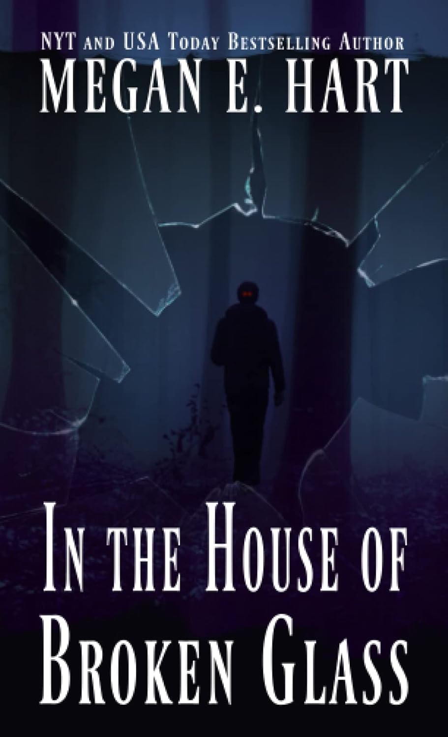 In the House of Broken Glass poster