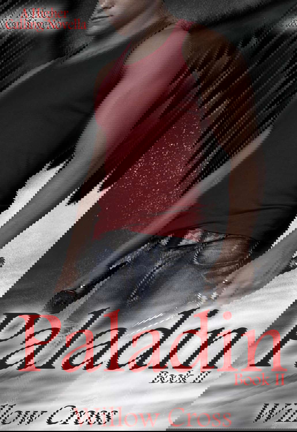 Paladin (A Higher Calling Book 2) poster