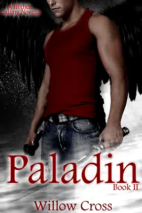 Paladin (A Higher Calling Book 2) poster