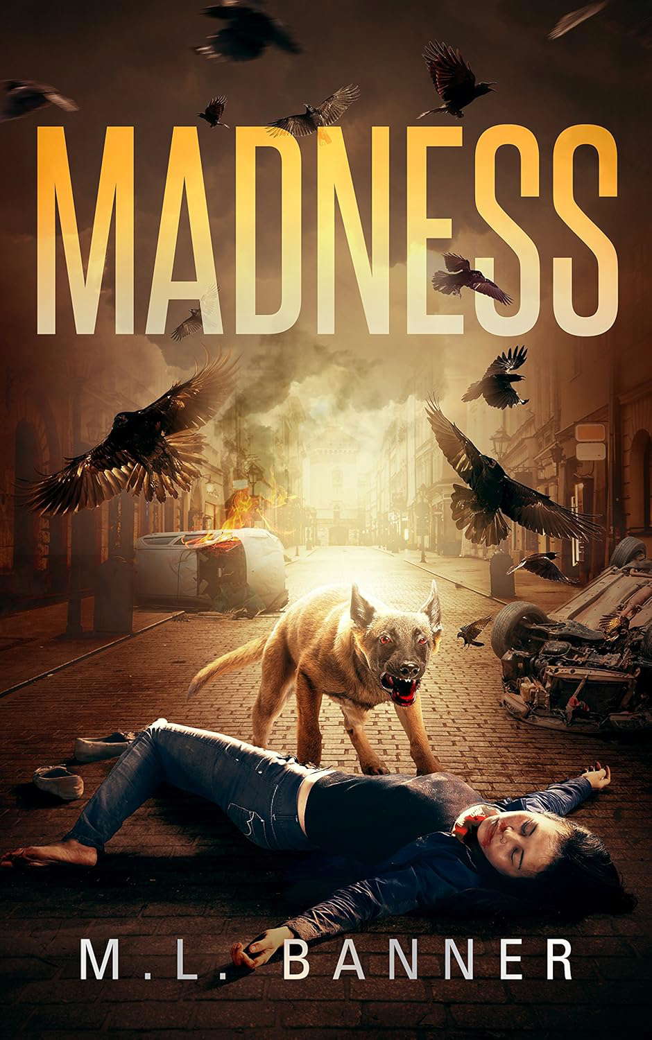 MADNESS: An Apocalyptic-Horror Thriller (Madness Chronicles Book 1) poster