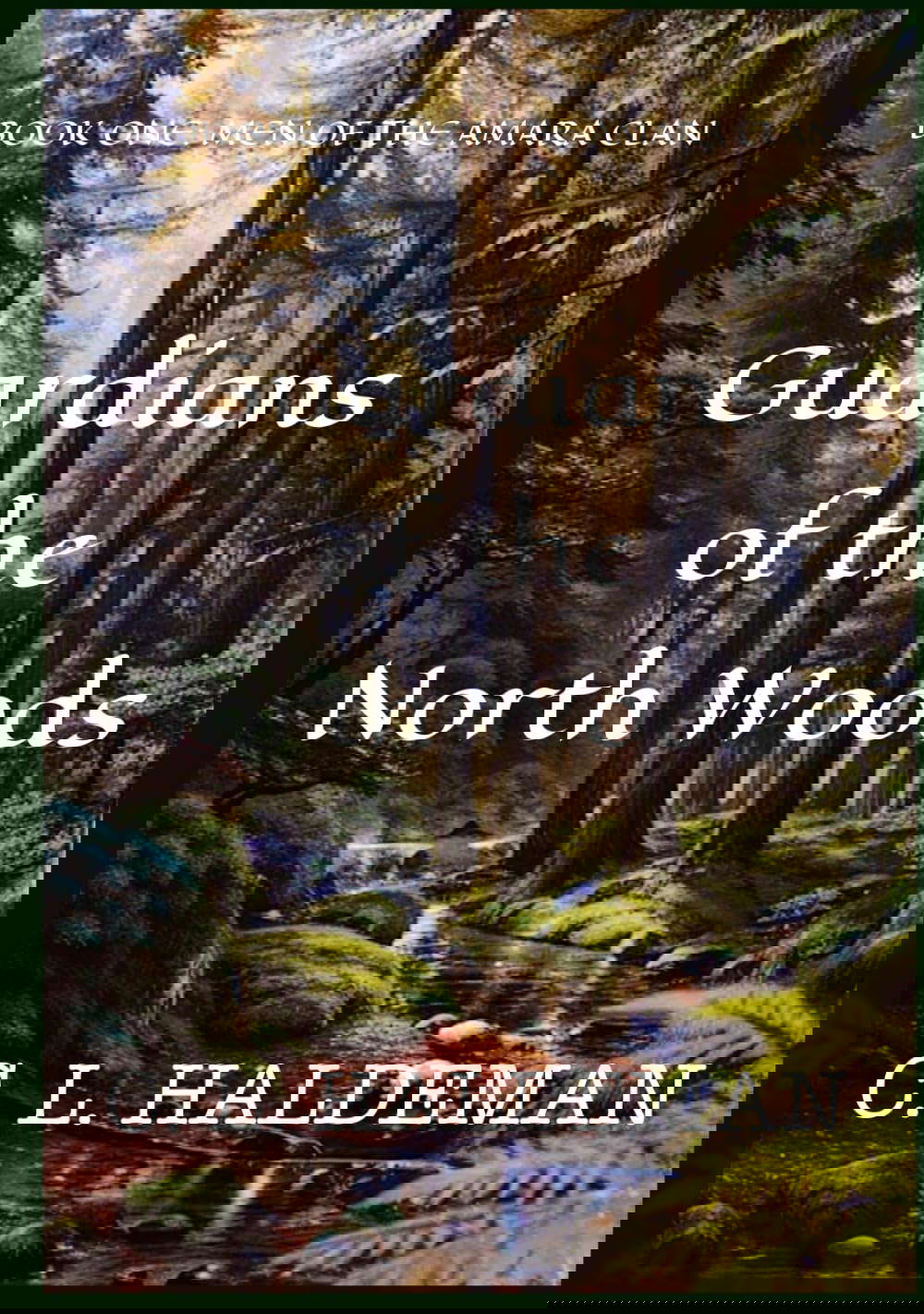 Guardians of the North Woods: Book One: Men of the Amara Clan poster