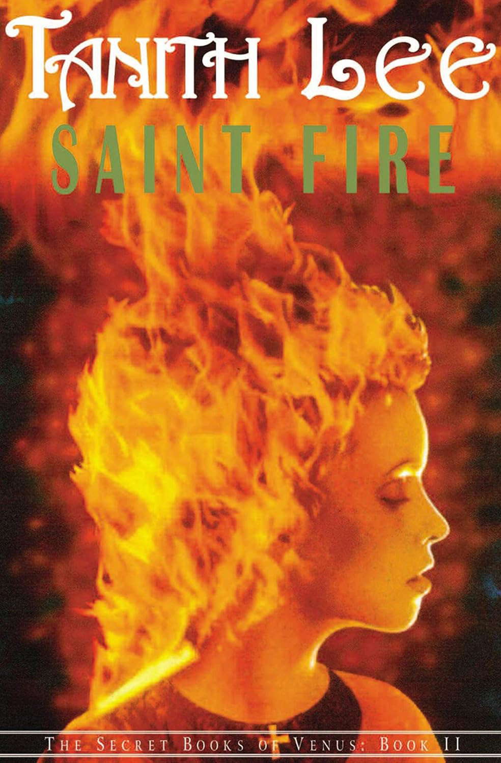 Saint Fire (The Secret Books of Venus) poster