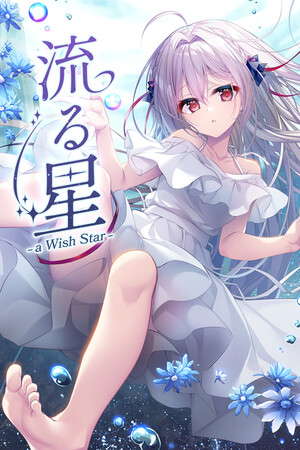 流る星 -a wish star- poster