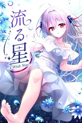 流る星 -a wish star- poster