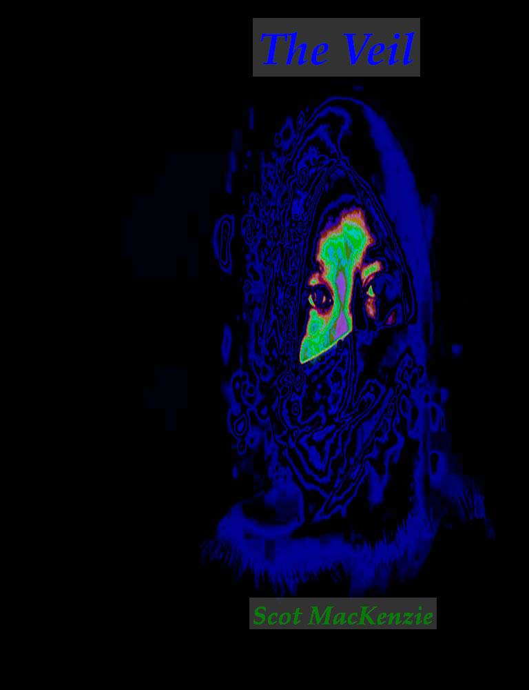 The Veil poster