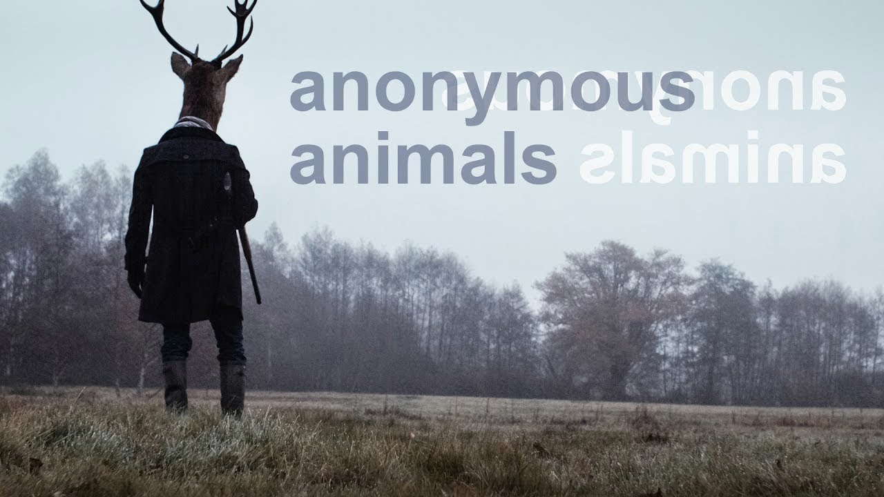 Poster for Anonymous Animals