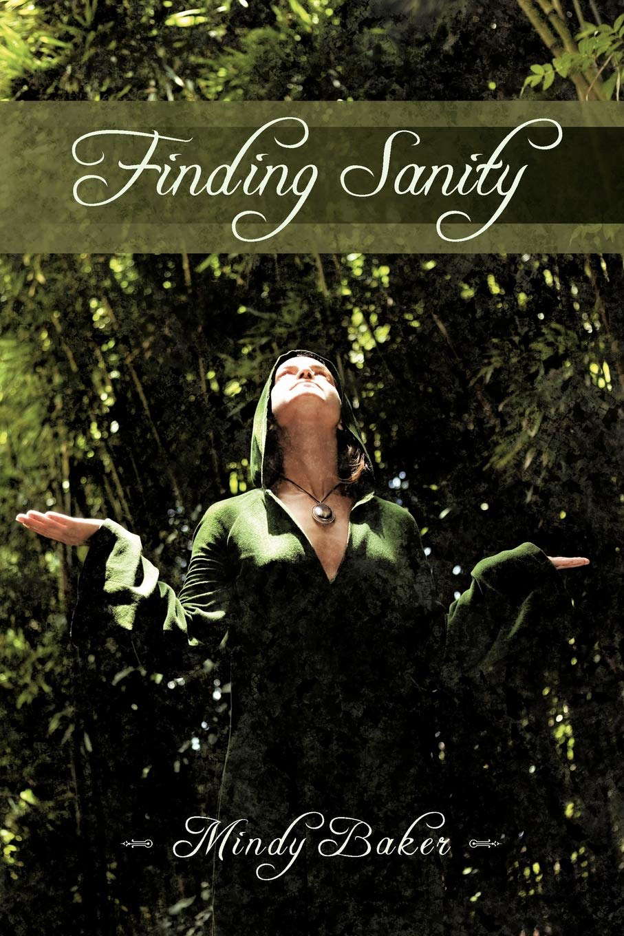 Finding Sanity poster