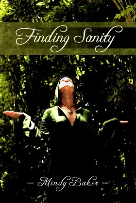 Finding Sanity poster