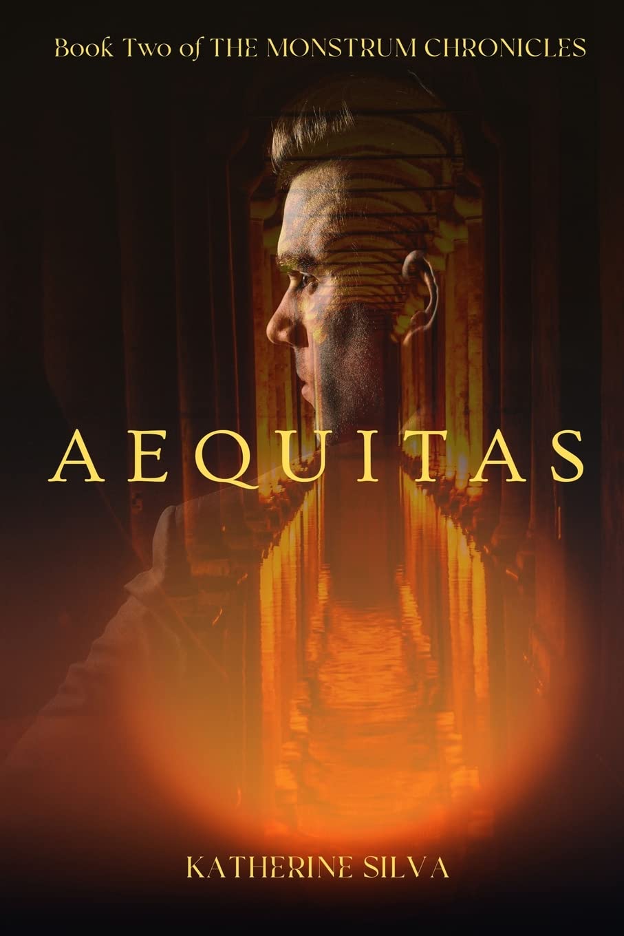 Aequitas: Book 2 of The Monstrum Chronicles poster