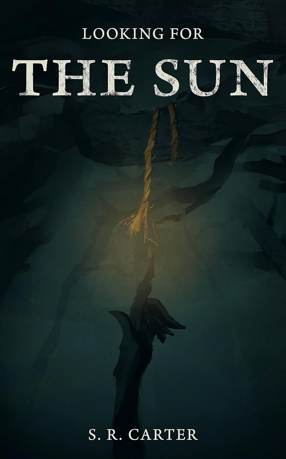 Looking for the Sun poster