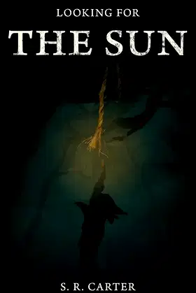 Looking for the Sun poster
