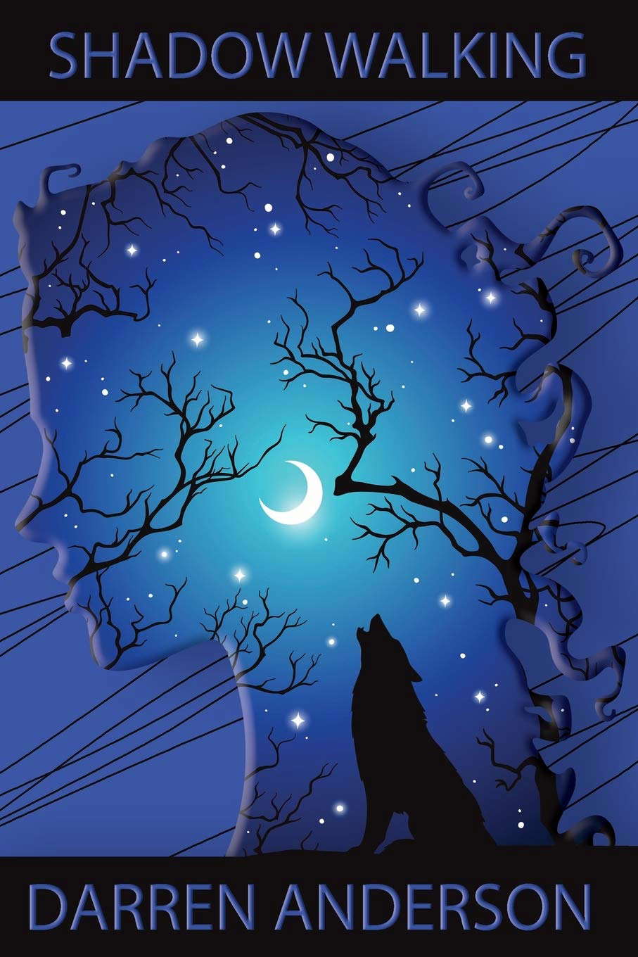 Shadow Walking poster