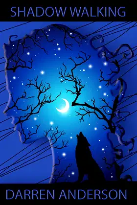 Shadow Walking poster