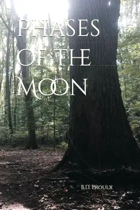 Phases of the Moon poster