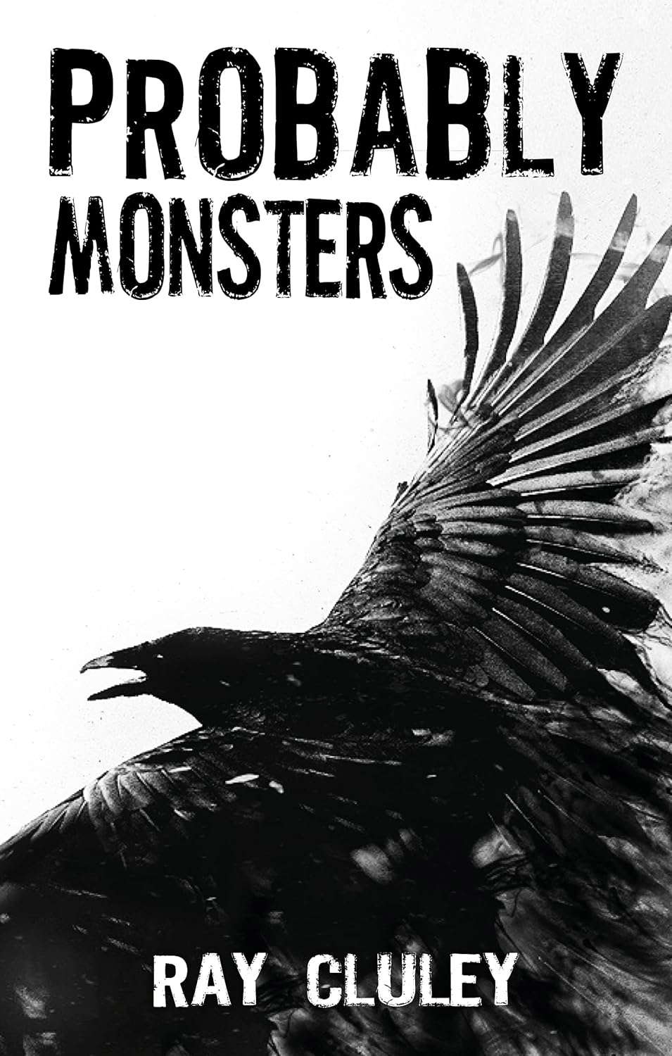Probably Monsters: A Collection of Short Stories poster