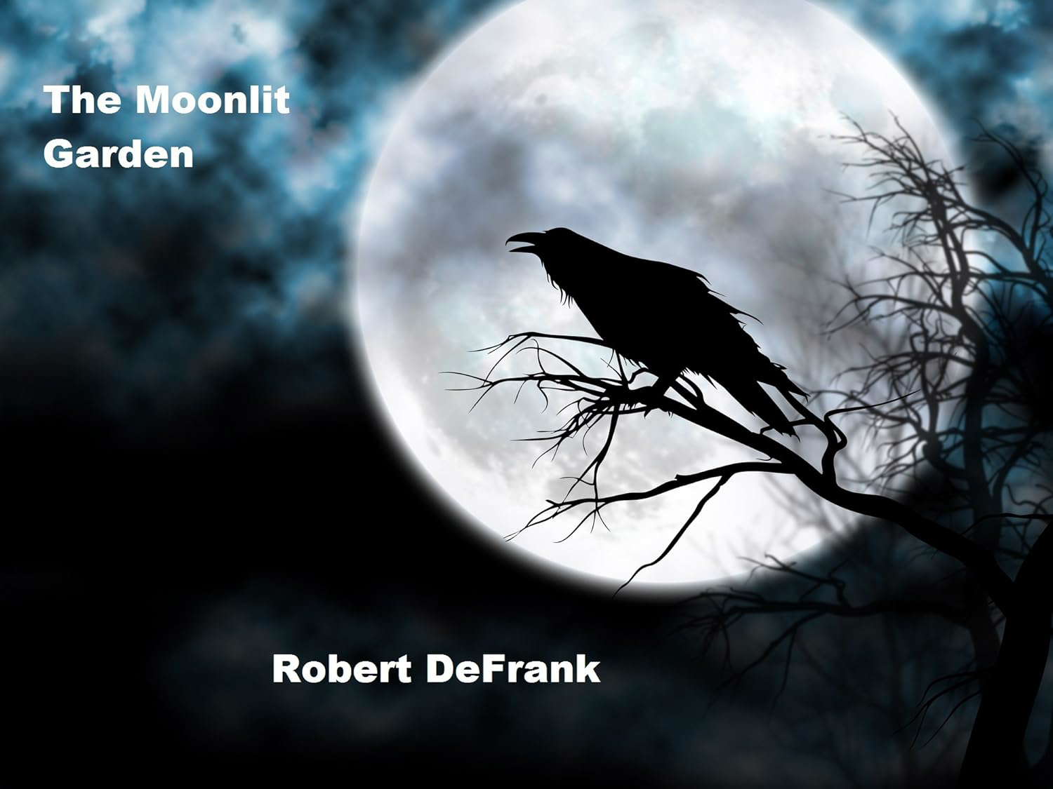 The Moonlit Garden poster