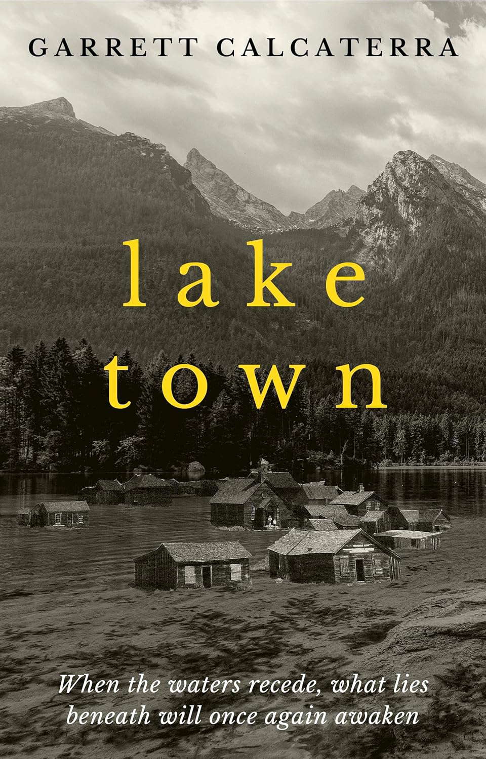Lake Town poster