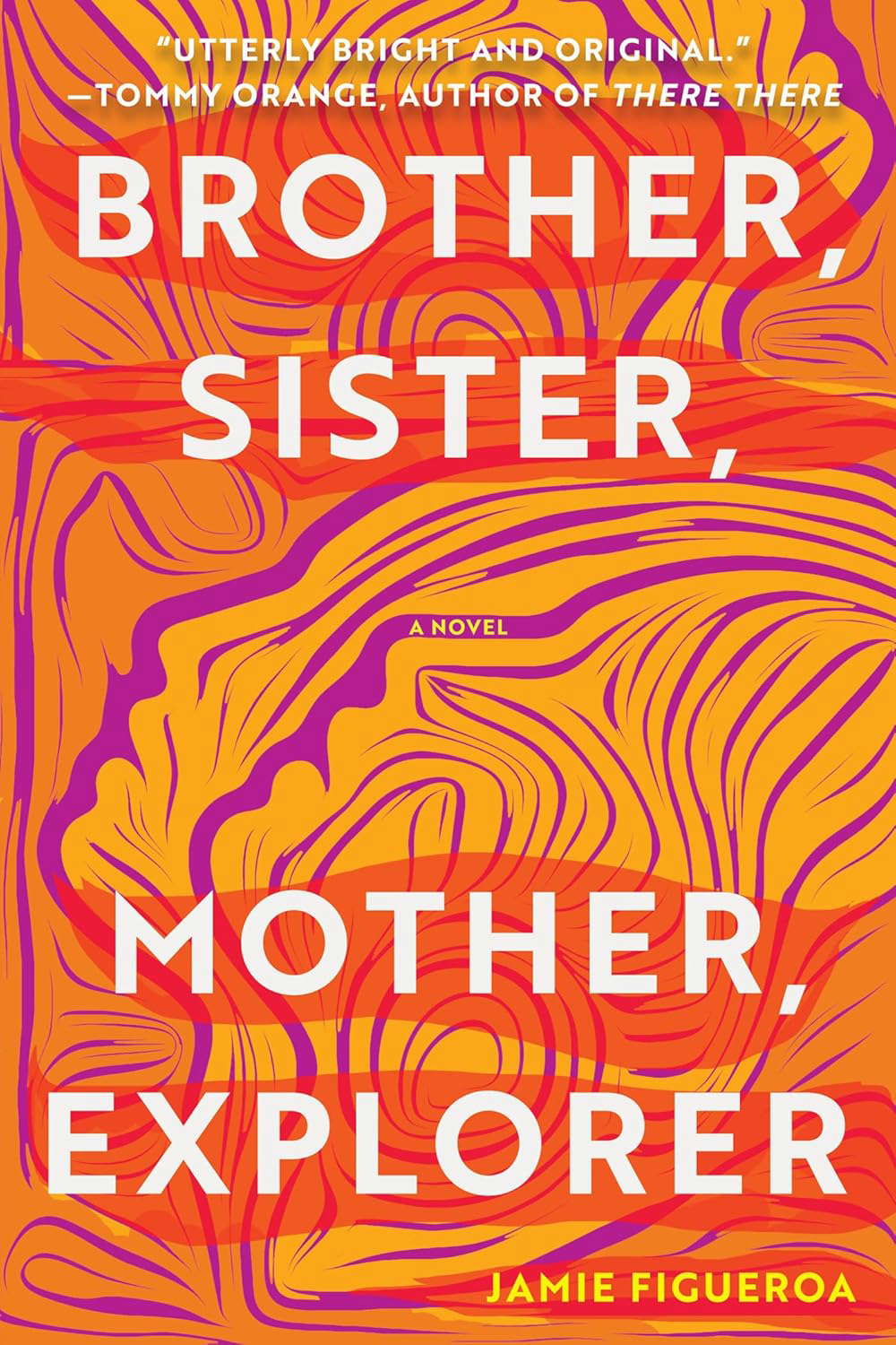 Brother, Sister, Mother, Explorer: A Novel poster
