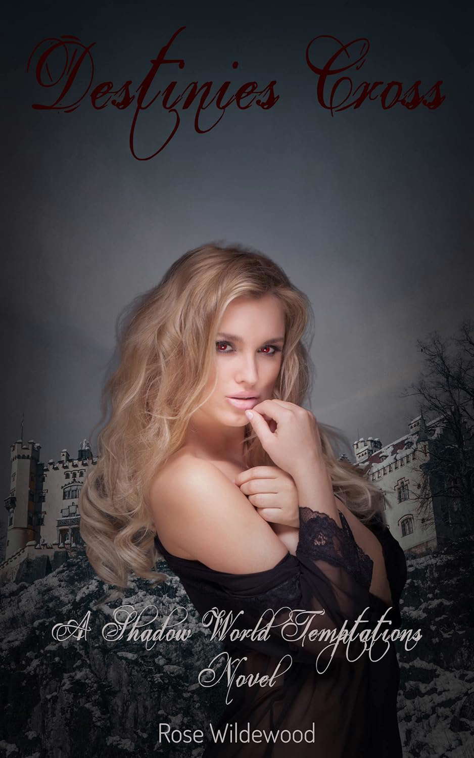 Destinies Cross (Shadow World Temptations Book 1) poster