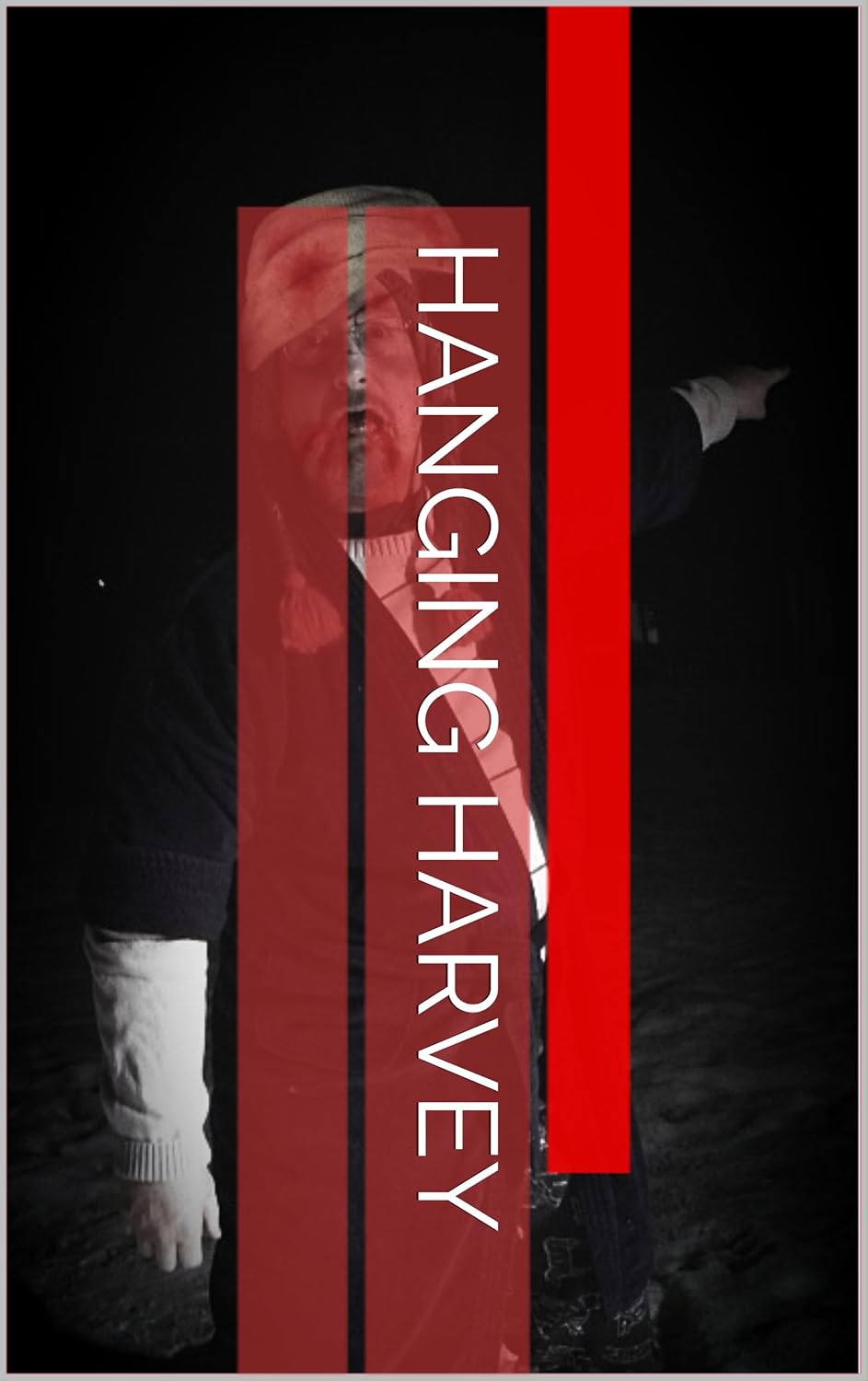 Hanging Harvey poster