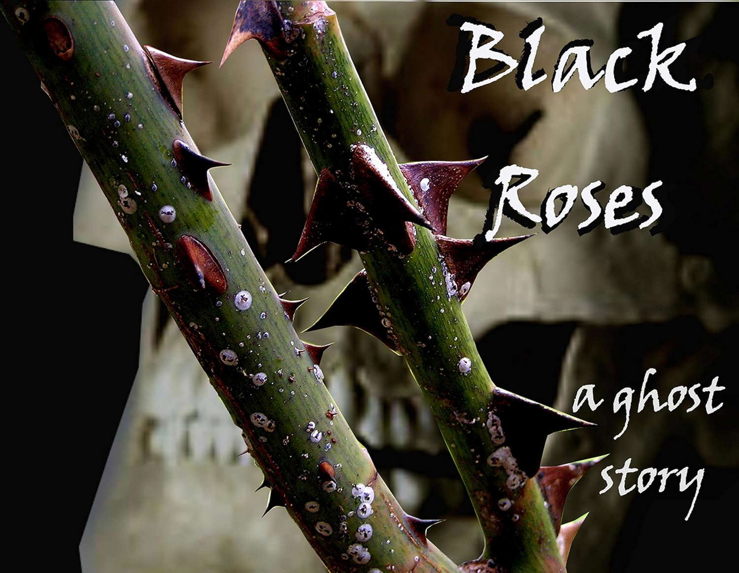 Black Roses: a ghost story poster