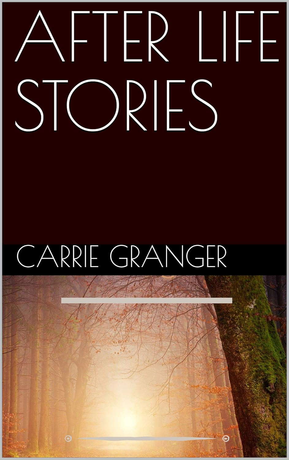 AFTER LIFE STORIES poster