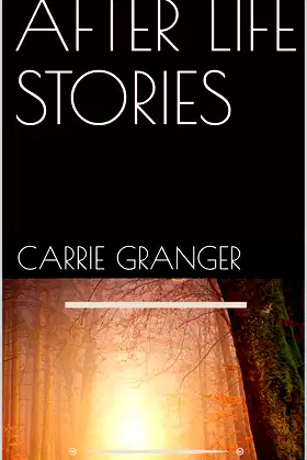 AFTER LIFE STORIES poster