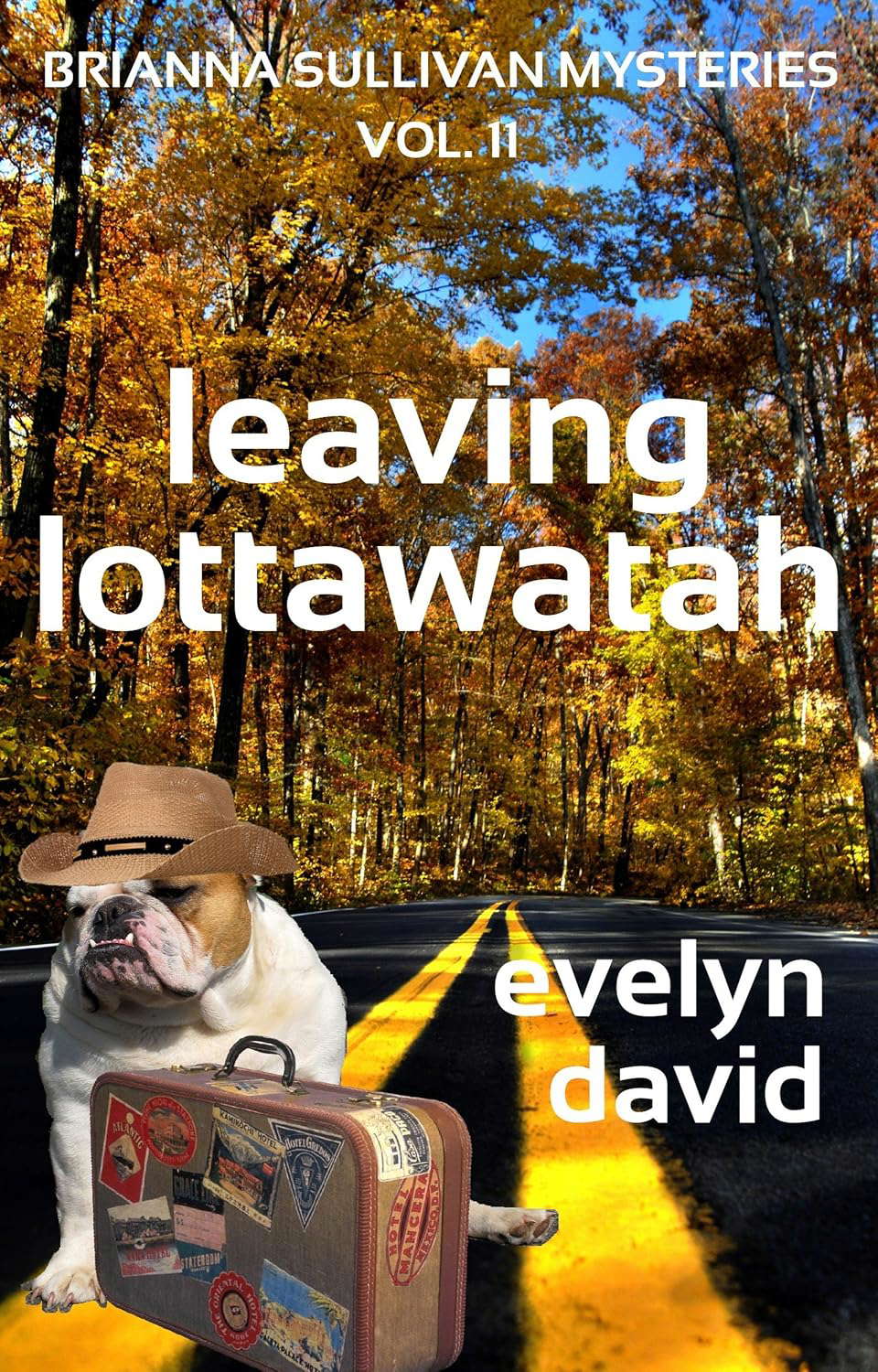 Leaving Lottawatah (Brianna Sullivan Mysteries Book 11) poster