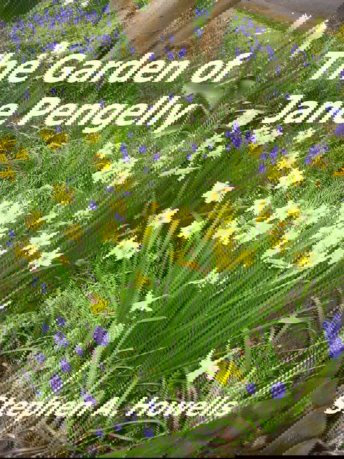 The Garden of Jane Pengelly poster