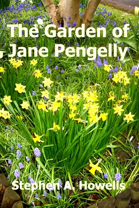 The Garden of Jane Pengelly poster