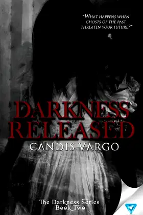 Darkness Released (The Darkness Series) poster