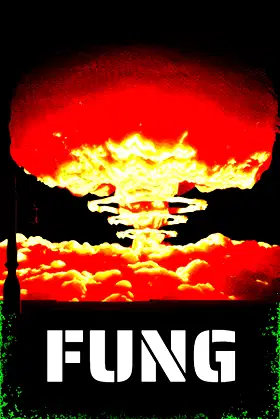 FUNG poster
