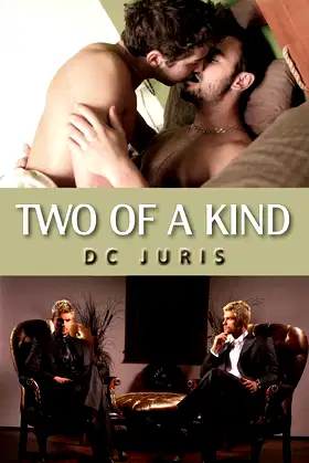 Two of a Kind (Vincent and Eric BDSM Romance) poster