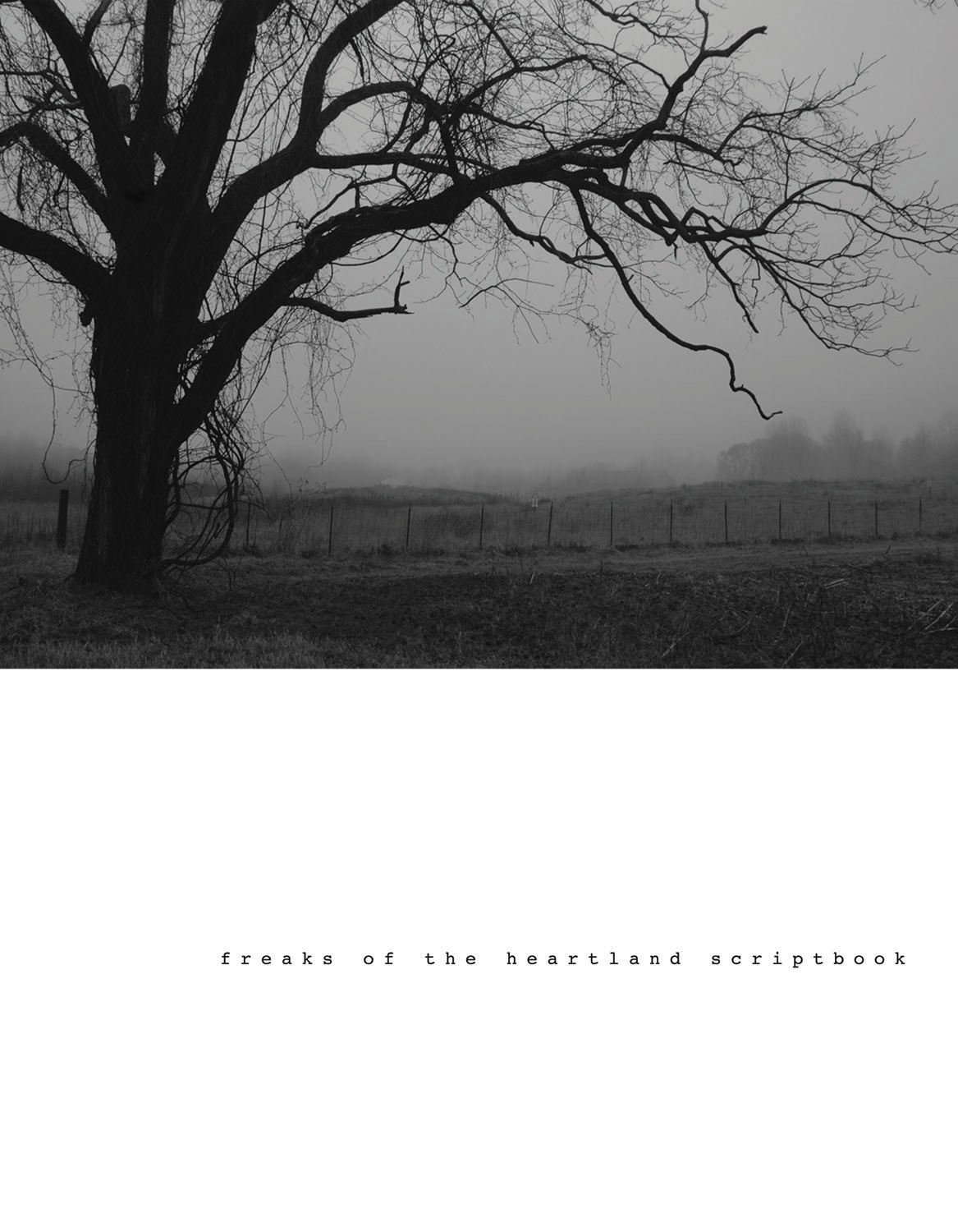 Freaks of the Heartland Scriptbook poster