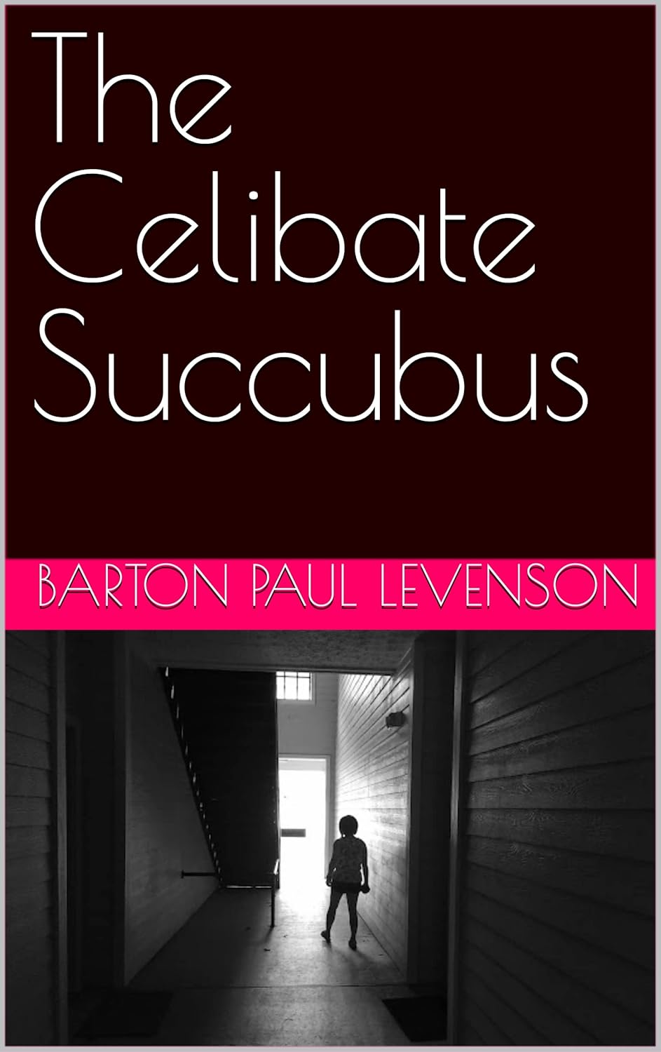 The Celibate Succubus poster