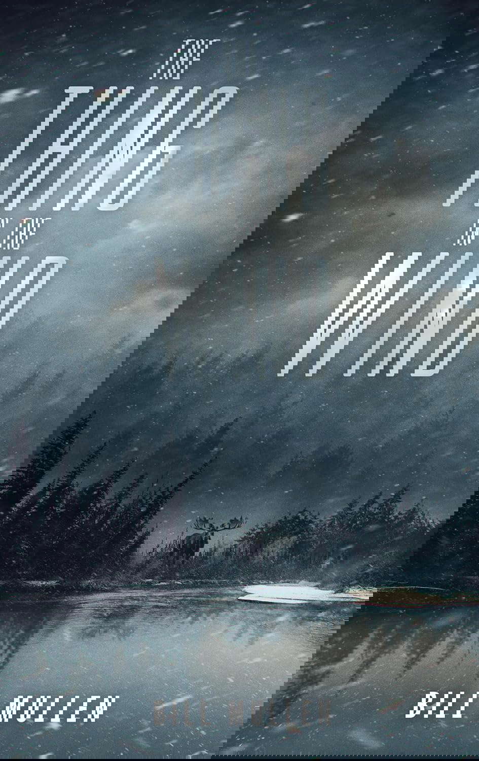 The Thing in the Wind poster