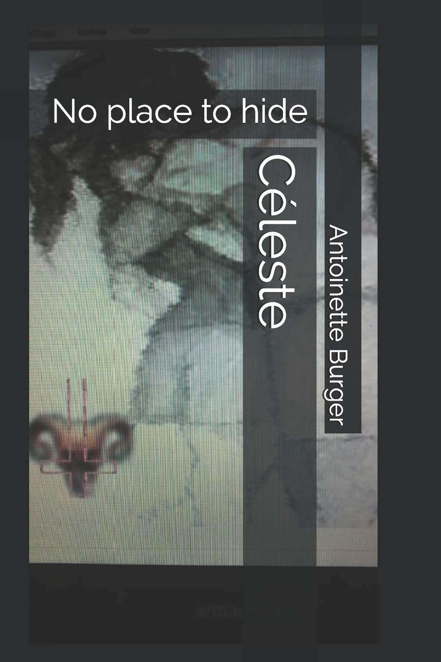 Céleste: No place to hide poster