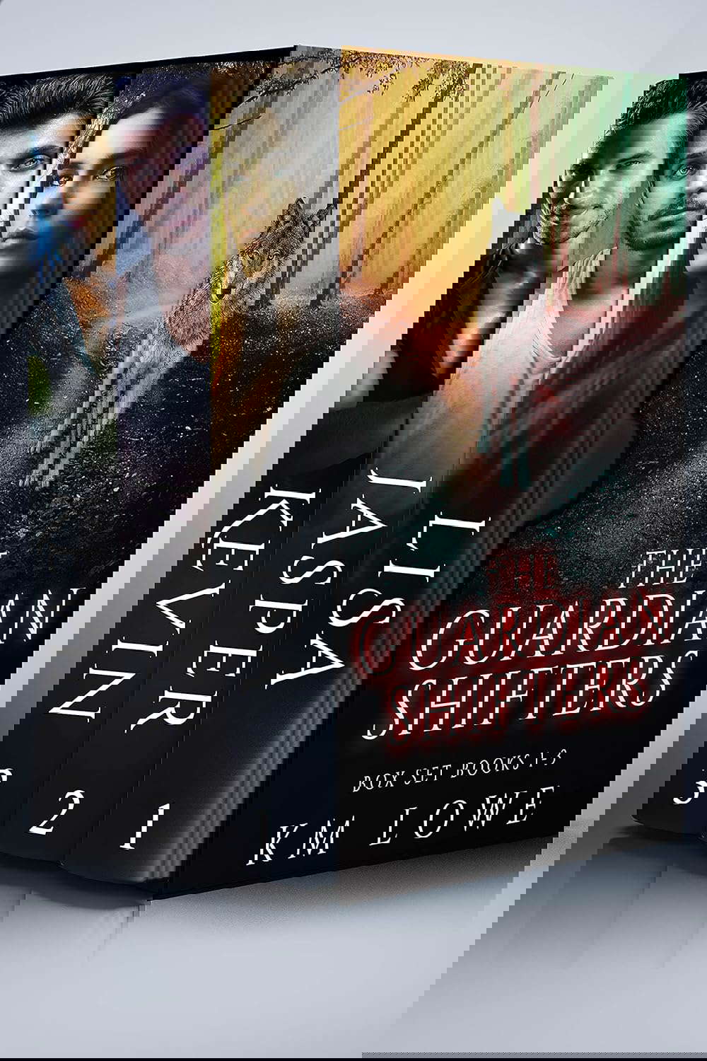The Guardian Shifters: Box Set 1 poster