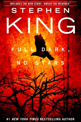 Full Dark, No Stars poster
