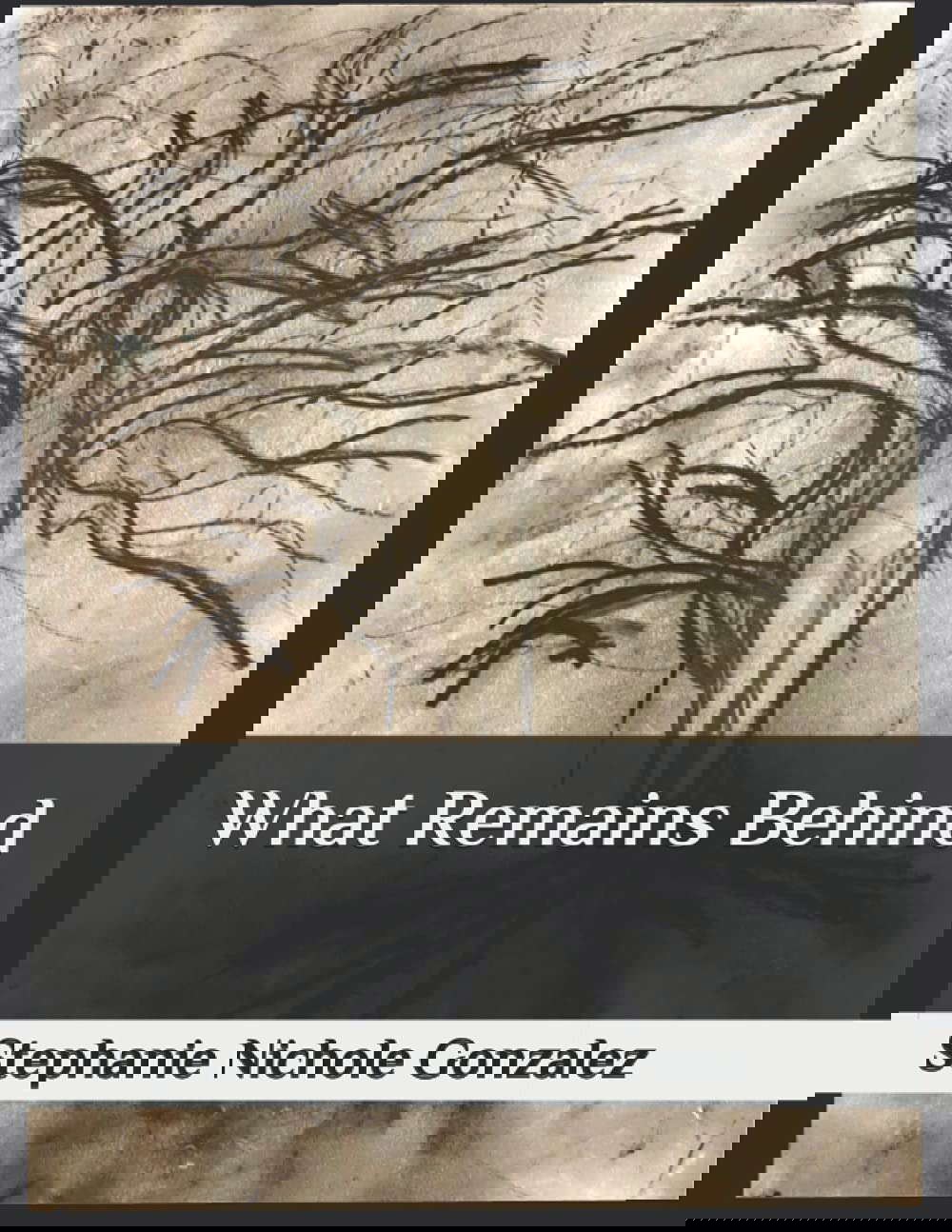 What Remains Behind poster